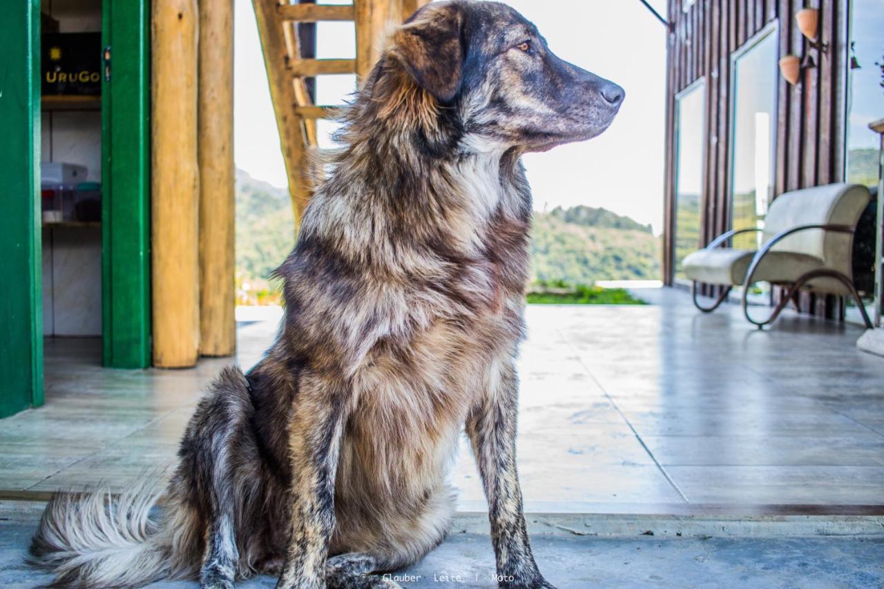 Yahoo Ecolodge Rio Rufino 外观 照片